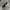Chrome Heart Sunglasses photo 1