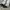 108POUND UNFINISHED BAGGY JEANS photo 3