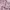 BOMBER JACKET WOMEN - STRADIVARIUS Pink (Original)