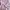 BOMBER JACKET WOMEN - STRADIVARIUS Pink (Original)