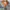 BOMBER JACKET CROP WOMEN - H&M Green Army (Original) photo 1
