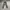 Streetwear Vintage Dungaree Pria green photo 1
