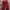 H*M red jeans photo 5