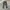Streetwear Vintage Dungaree Pria green photo 1