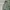 Streetwear Vintage Dungaree Pria green photo 2