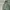 Streetwear Vintage Dungaree Pria Green