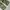 Streetwear Vintage Dungaree Pria green photo 4