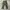 Streetwear Vintage Dungaree Pria green photo 1