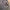 Y2K Avant Garde Bomber jacket Pria brown photo 2