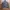 Y2K Avant Garde Bomber jacket Pria brown photo 4