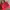 New Look Vintage Y2K Handbag Wanita Red