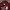 Thisisneverthat Champions Hoodie Burgundy  photo 6