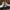 Converse Chuck Taylor All Star Lift Earthy Neutrals Women's 