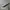 CONVERSE CHUCK TAYLOR ALL STAR photo 2