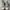 CONVERSE CHUCK TAYLOR ALL STAR photo 4