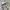 CONVERSE CHUCK TAYLOR ALL STAR photo 7