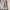Screamous Jacket Harrington CLETO CREAM photo 4