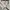 Overshirt Tommy Hilfiger Denim Worldwide VVGC Fresh Ball photo 3