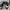 Adidas Adifom SUPERSTAR  photo 1