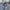 Bobo Tokyo - Blue Label - Ruby Overall Nylon Suit photo 2