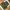Military Camo Vest Tactical Multipocket Canvass Kornas photo 2