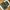 Military Camo Vest Tactical Multipocket Canvass Kornas