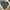 Military Camo Vest Tactical Multipocket Canvass Kornas photo 3