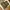 Military Camo Vest Tactical Multipocket Canvass Kornas photo 8