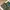 Military Camo Vest Tactical Multipocket Canvass Kornas photo 6