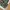 Military Camo Vest Tactical Multipocket Canvass Kornas photo 5