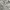 Tactical Vest Multipocket Canvass Grey photo 8