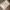 Utililty Tactical Vest Multipocket Cream/ Off-White photo 6