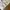 Utililty Tactical Vest Multipocket Cream/ Off-White photo 4