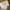 Utililty Tactical Vest Multipocket Cream/ Off-White photo 3