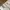 Utililty Tactical Vest Multipocket Cream/ Off-White photo 5