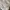 Utililty Tactical Vest Multipocket Cream/ Off-White photo 8