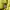 Dress Halter Neck Midi Hijau Lemon H&M Preloved photo 5