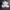 Adidas Minimalist Casual Sneakers Wanita white photo 3