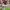 Jersey Home Ac Milan 2019/2020 photo 3