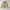 SPAO TRENSIC Overfit Check Cardigan Rajut Oversized Motif  photo 2