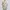 SPAO TRENSIC Overfit Check Cardigan Rajut Oversized Motif  photo 1