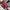 VOODOO - 386 - Vintage Heavyweight 3D Graphics Pattern Knit  photo 5