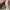 Tory burch kerington totebag auth pl nego photo 8