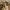 Tory burch kerington totebag auth pl nego photo 4