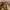 Tory burch kerington totebag auth pl nego photo 5
