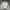 Cp company crewneck photo 1