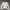 Cp Company Crewneck