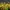 Jersey Home Borusia Dortmund 2022/2023 photo 3