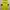 Jersey Home Borusia Dortmund 2022/2023 photo 2