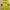 Jersey Home Borusia Dortmund 2022/2023